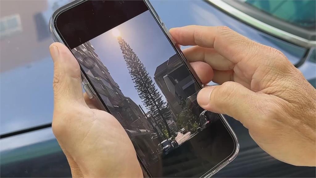 台中爆紅打卡點 巷弄奇觀「突破天際樹」背後故事藏洋蔥