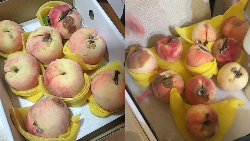 買水蜜桃禮盒遇上「黑店」?32顆「爛24顆」苦主淚訴:太相信人情味