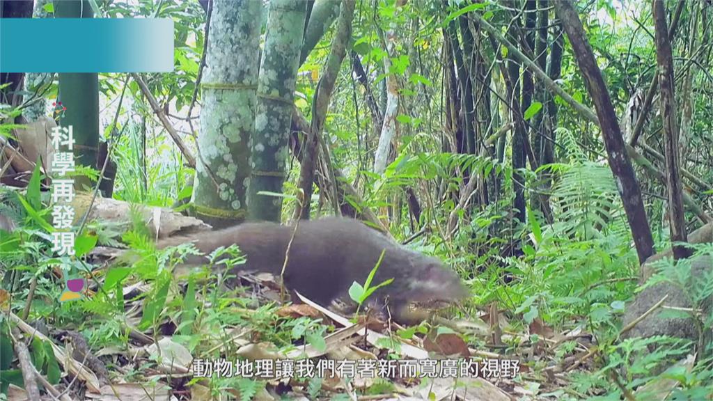 守護台灣多樣豐富生態 落實生物永續