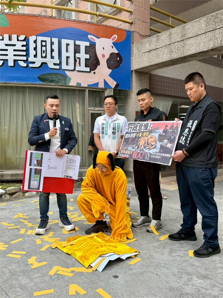 台中1歲米克斯犬遭虐致死　議員怒批「通報流程僵化」