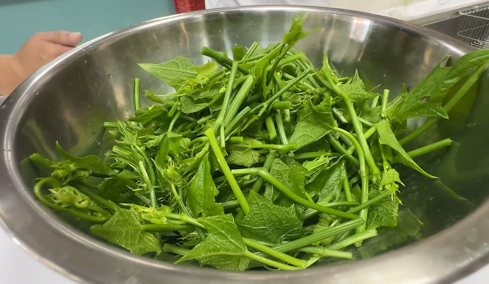 奇景!芭樂長在土裡? 農民曝真相「是這一種蔬菜」