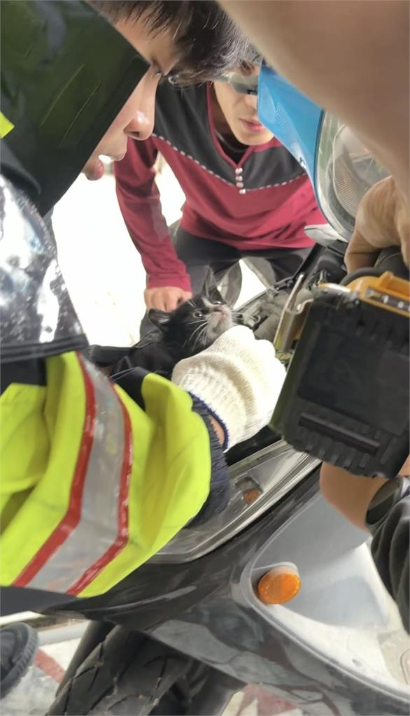 快新聞／颱風天化身喵星人救援隊　鶯歌暖警「機車頭燈」救出受困小貓