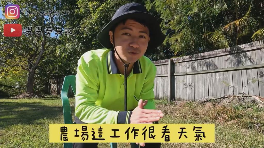 澳洲爆41年來最嚴重草莓荒!打工台人周薪不到1萬 嘆:現在不要來