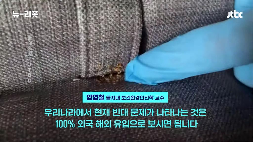 南韓「臭蟲危機」！民眾搭地鐵不敢坐　遭叮咬恐皮膚發癢、過敏