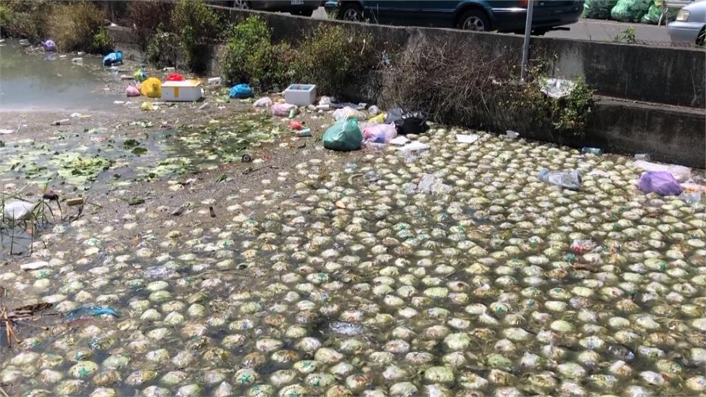 西螺大排「垃圾漂漂河」又臭又髒 科技執法抓違規開罰