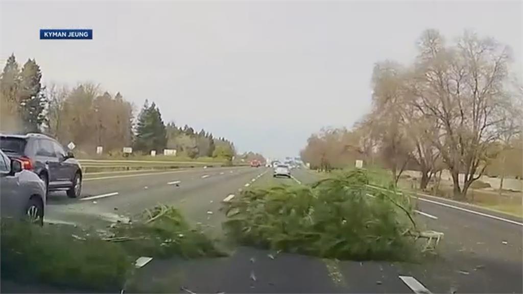 加州小客車從高架橋上墜落　生死一瞬間！險撞擊後方行經車