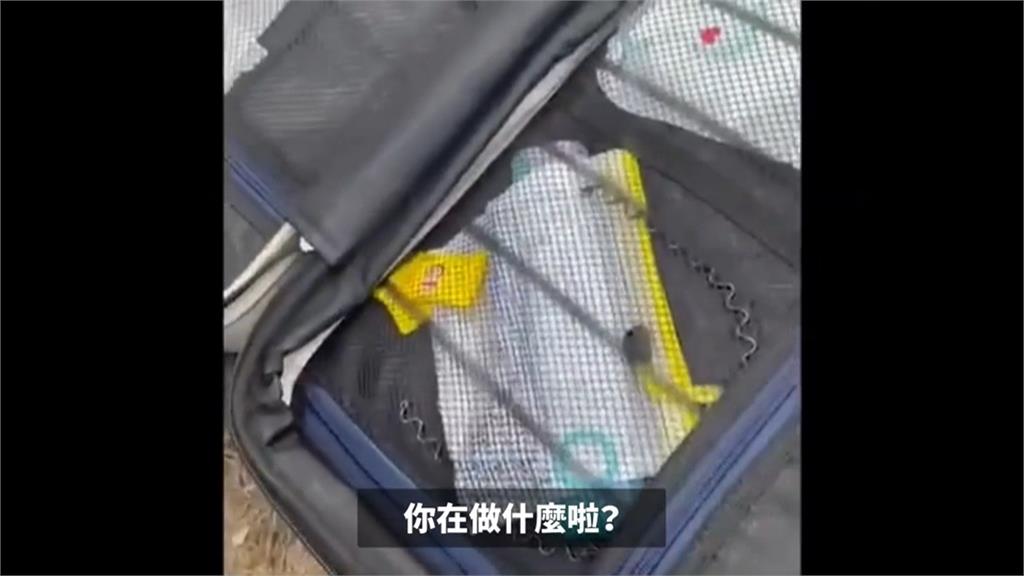 校方硬搜畢旅學生行李 范雲轟「侵犯隱私」要求教育部徹查