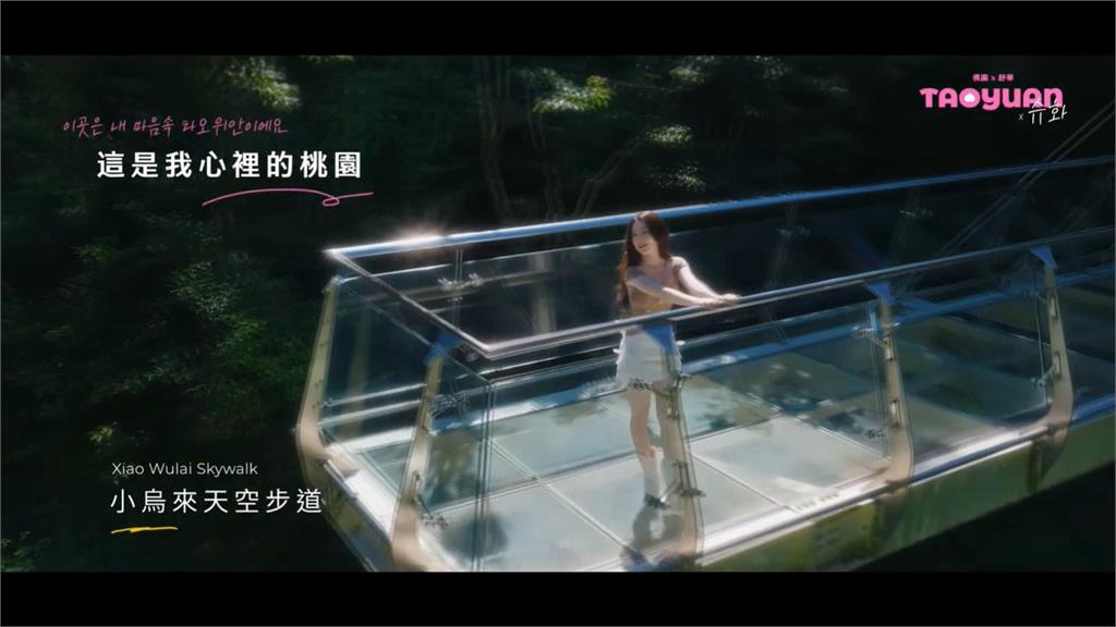 舒華桃園宣傳影片點閱率冷清　桃市府回應了