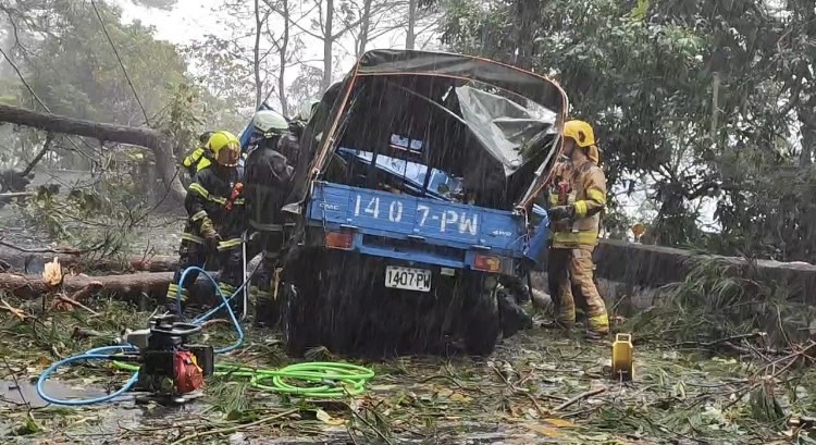 快新聞/狂風成災!台14甲路樹砸中小貨車 駕駛受傷、乘客命危