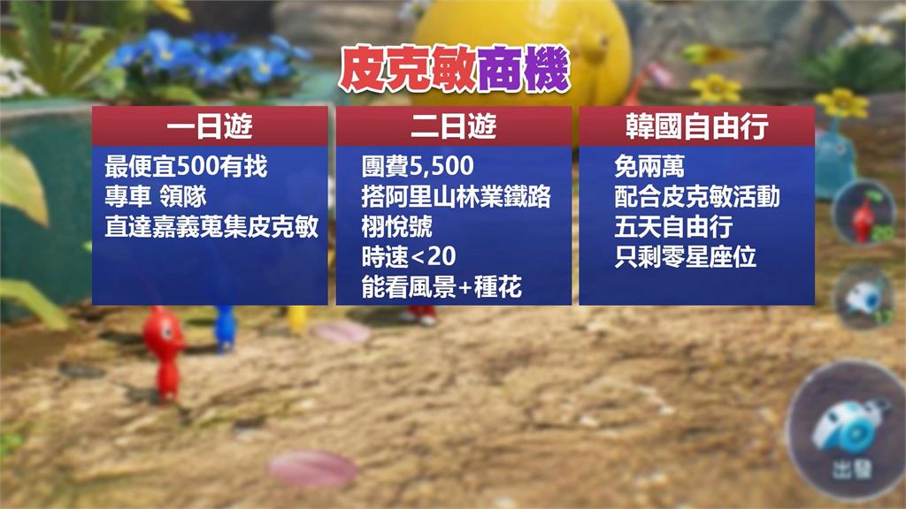 促進國旅得靠他！皮克敏專車上線一周　破30團　千人搶到嘉義打蘑菇