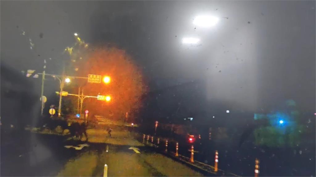 乳牛壓馬路、上分隔島吃宵夜 龜山員警「摸黑趕牛」