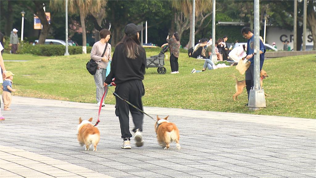 連假都市現野餐熱潮 花博、華山文創人潮滿滿