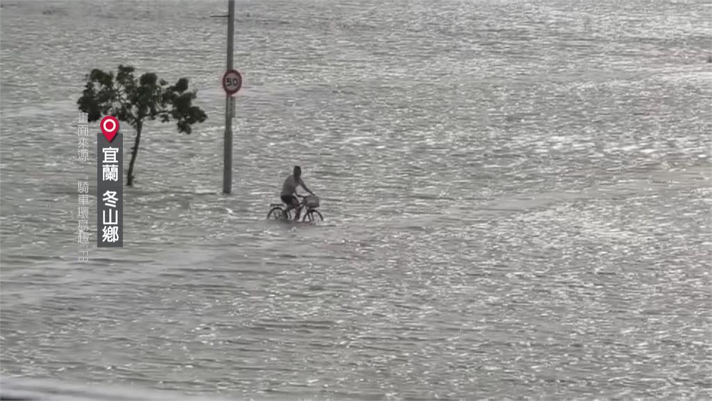 青雉上將來了！民眾淡定騎鐵馬　宜蘭汪洋意外神還原「這一幕」