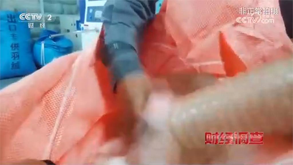 中國官媒央視踢爆 中企業售「羽絨含量0」假羽絨衣