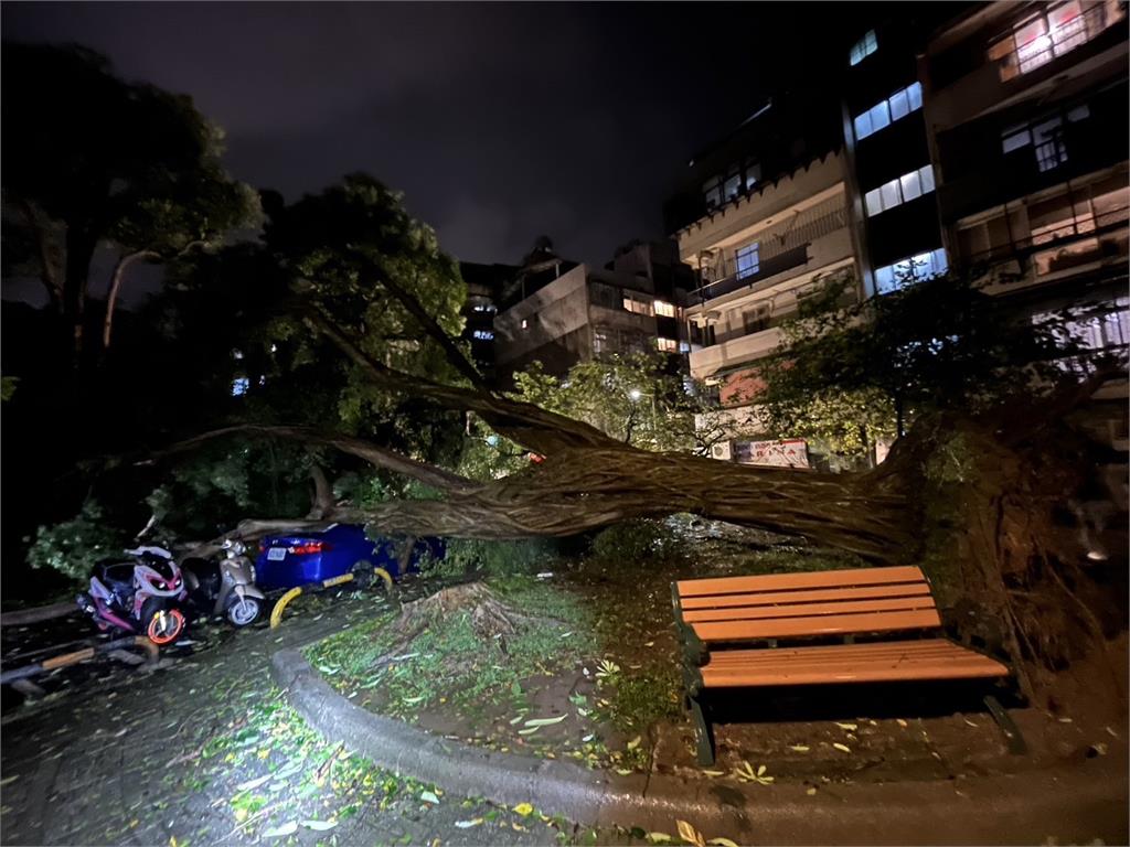 康芮強風豪雨！雙北路樹倒一片　內湖電桿砸死騎士