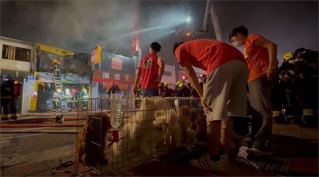 寵物店燒無情惡火變廢墟 老闆愛犬嗆傷不幸死亡