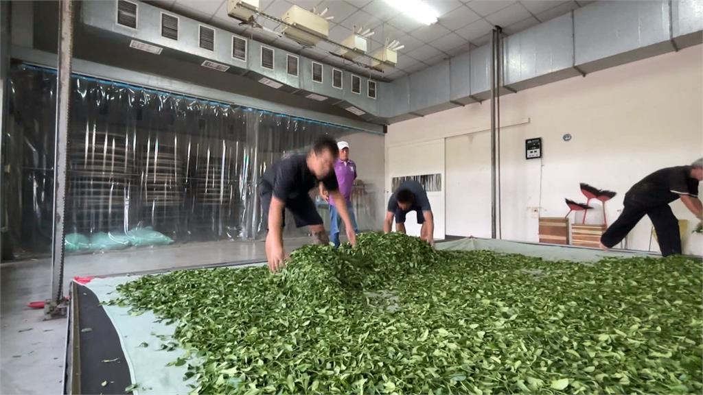日月潭紅茶之父離世79周年　魚池鄉公所赴日本拜訪耕吉郎故鄉