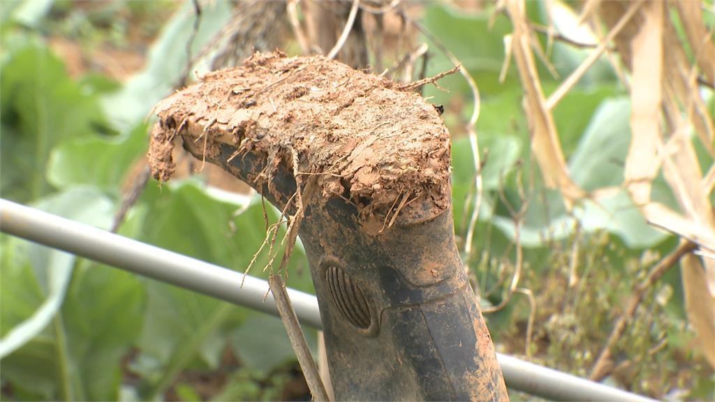 林口菜園驚傳砍人案！　7旬菜農「身中4刀」凶嫌新莊遭逮