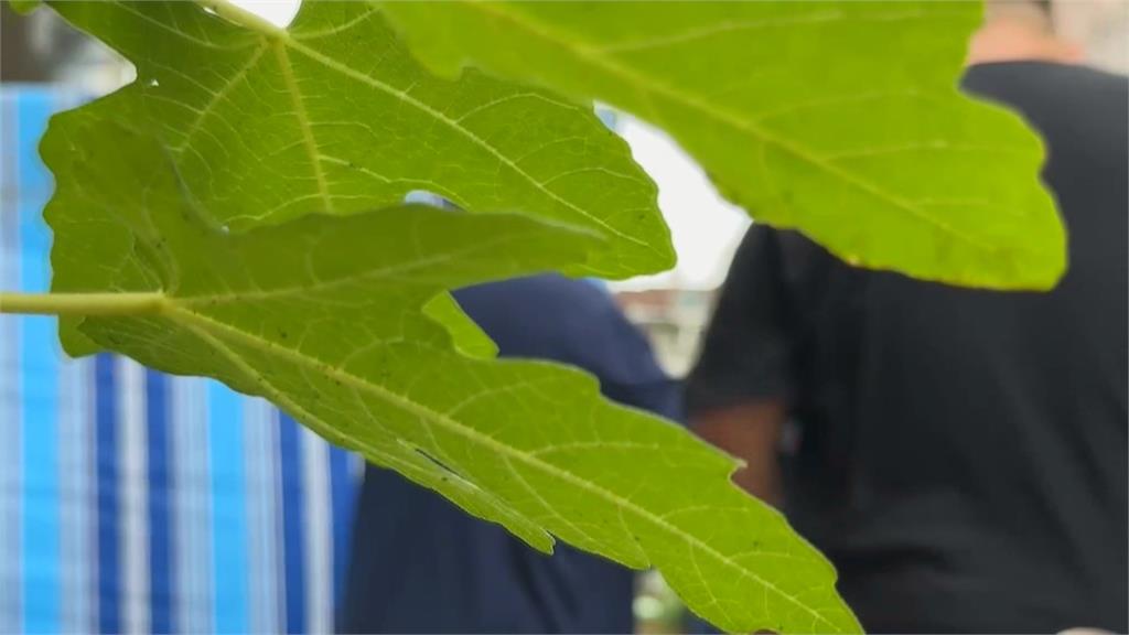 討不到8千! 屋主大兒子朝自家丟汽油彈被判六個月
