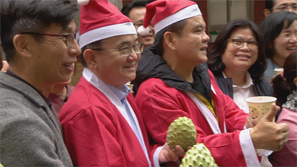 綠委扮耶誕老人　立法院推銷「雙東水果」