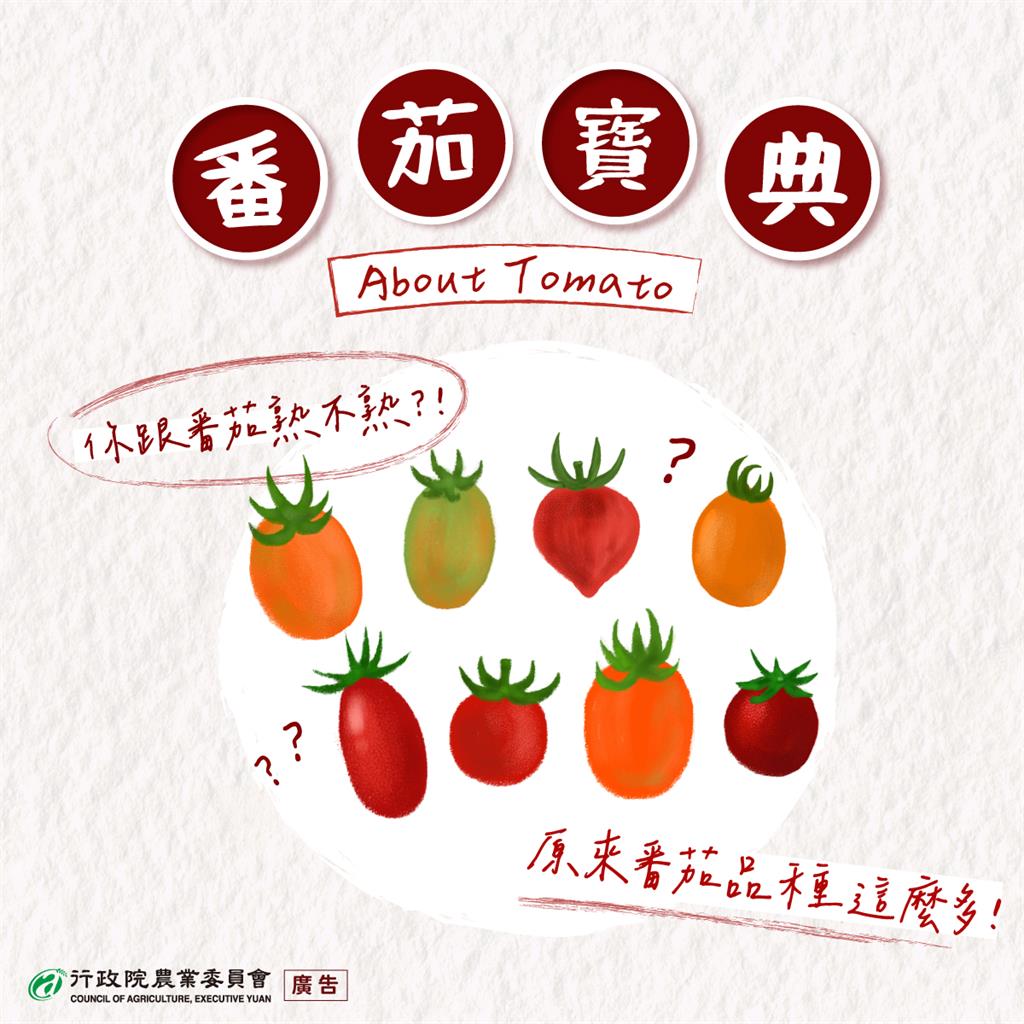 台灣常見8種番茄口感大解密！農委會欽點最甜品種「要選它」