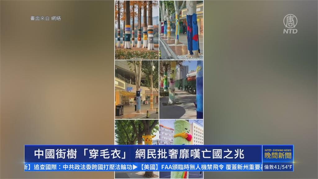 北京行道樹穿「七彩毛衣」保暖 人民卻裹塑膠布禦寒