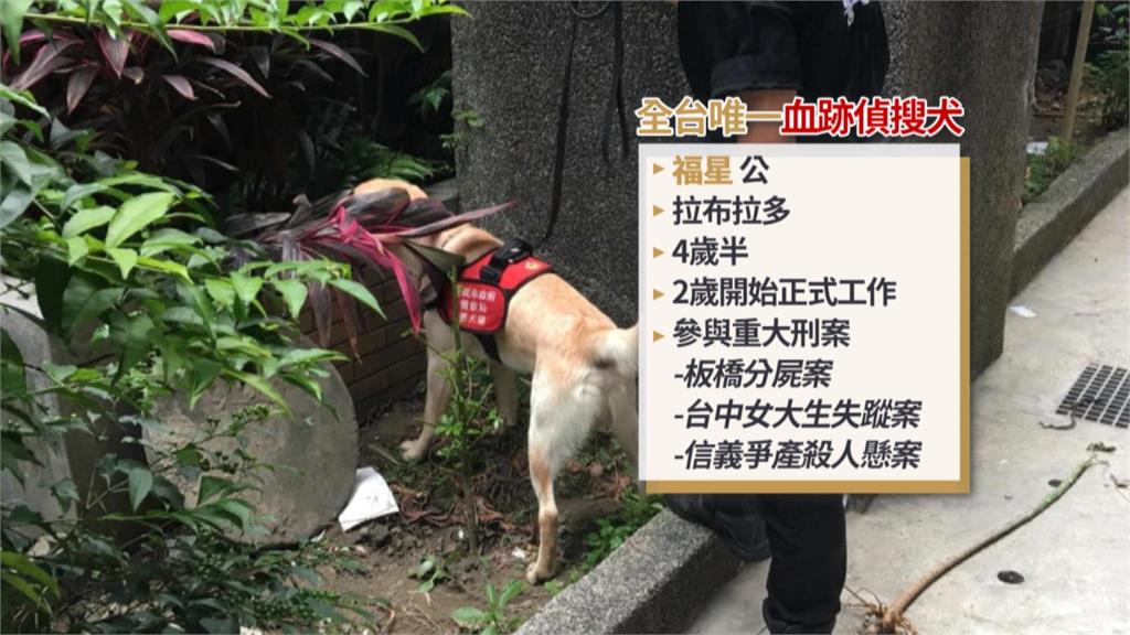 關鍵時刻立大功! 全台唯一「血跡偵搜犬」