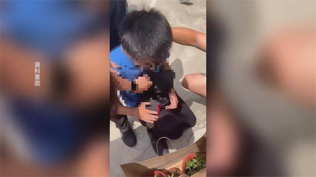 台中大雅砍人案嫌犯逃國道遭撞　肇事衰駕駛竟是土風舞老師友人