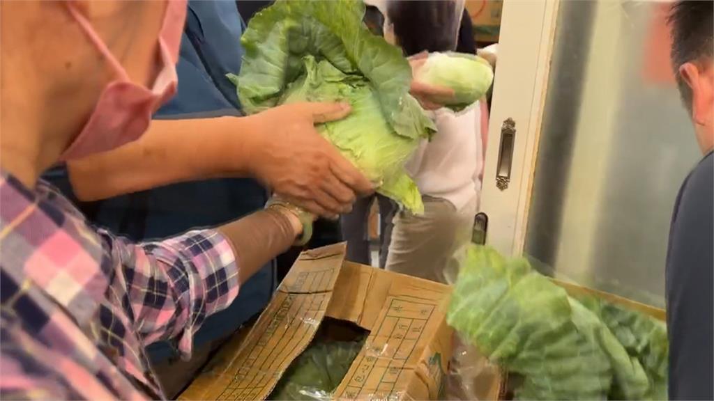 高麗菜價崩! 基市議員、同鄉會認購2千顆免費送