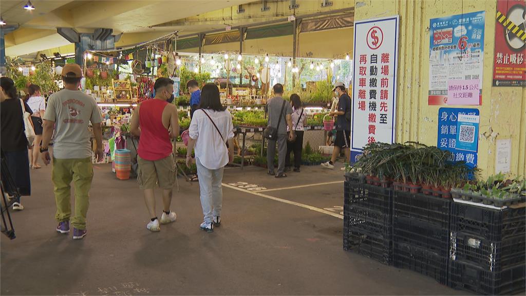 週末逛花市小確幸！建國花市重新開市　迎來採購人潮