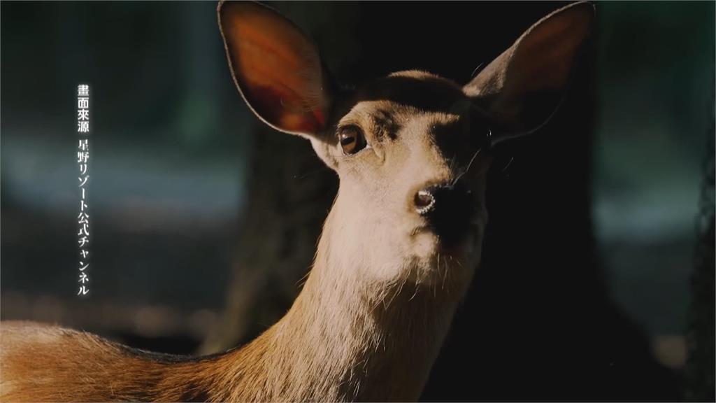 明治時期古蹟打造成飯店 舊奈良監獄兩晚5萬台幣