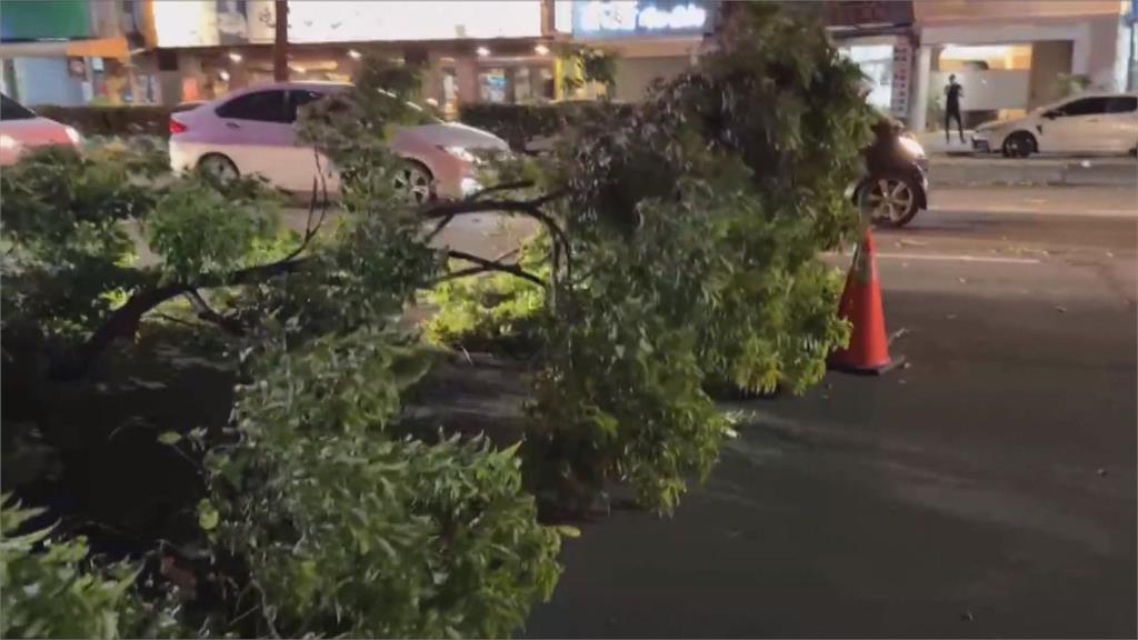 強風釀災！　彰化鹿港傳1日2起空地火警　台中路樹倒塌害機車摔傷