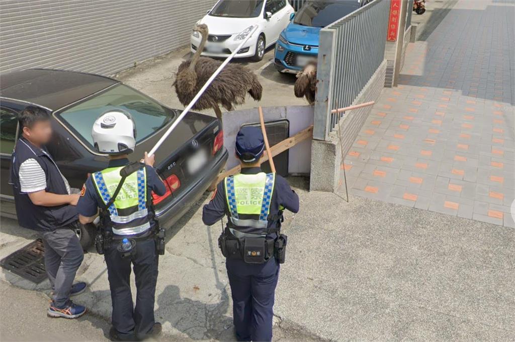 Google地圖見「野生露鳥」警方急圍捕!「溪南路三段55巷」成熱搜字真相網笑爛