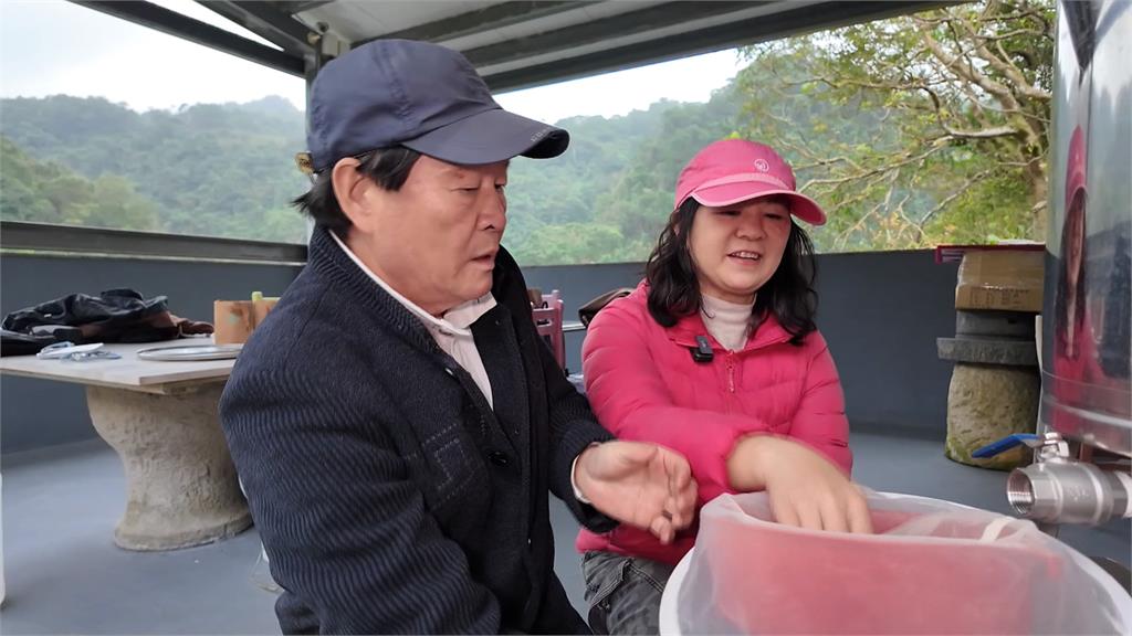 充滿母愛的天然蜂蜜 養蜂人陳美秀的養蜂故事