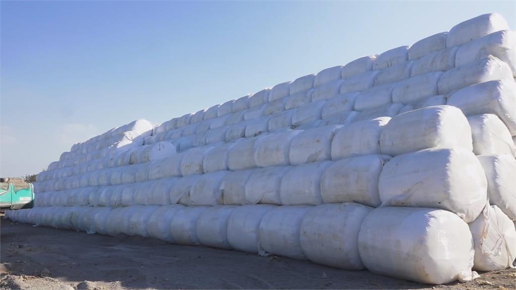 中市「垃圾分選打包計畫」啟動 壓縮減積! 清除大里掩埋場裸露垃圾