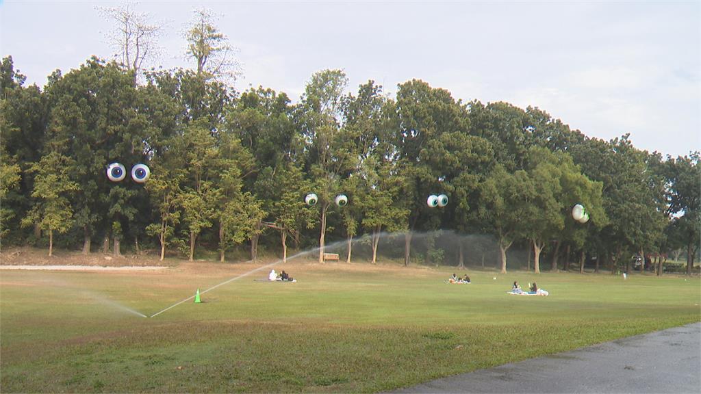 高雄果嶺公園出現「4對大眼」　民眾直呼：像台灣的眼睛