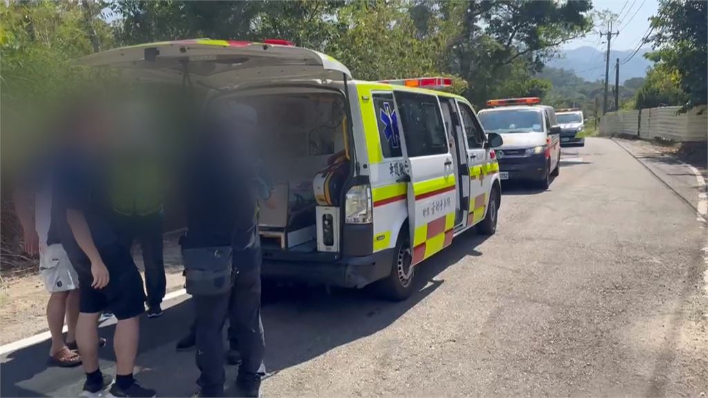 捅到虎頭蜂窩！　苗栗掃墓驚動蜂群　6人遭狂螫送醫