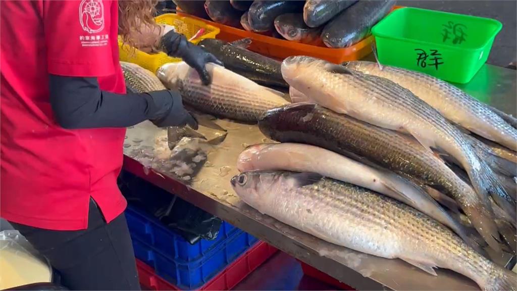 年終獎金入袋! 彰化漁民東引抓逾千尾"正頭烏"
