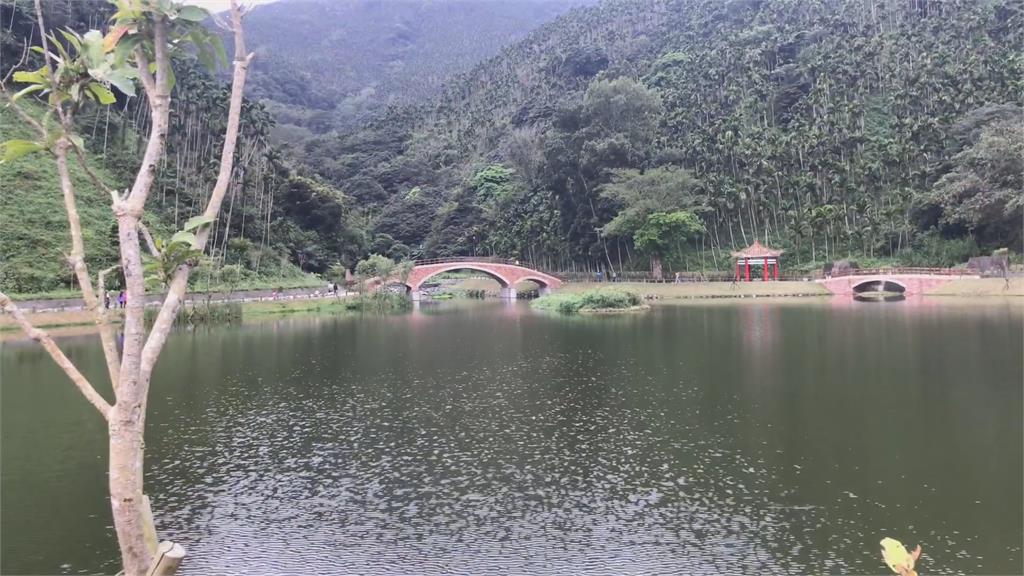 台灣趴趴走/荒蕪水池變新景點?馬錫山秘境報你知!