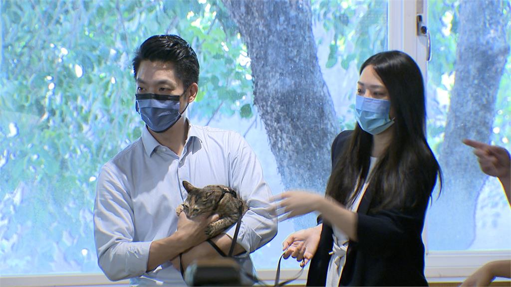 說好的寵物政策?認養「浪浪」沒送保險 議員批蔣萬安:沒誠意