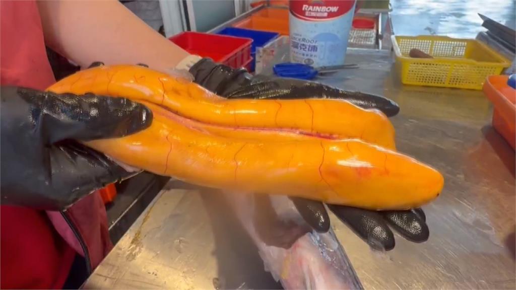 大豐收! 四千尾"正頭烏"入港 漁民第二波年終入袋