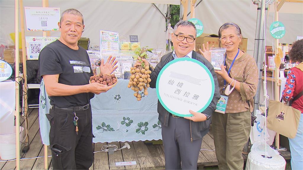 南波灣市集開跑！聚集75家業者　一站式體驗南臺灣秘境精華