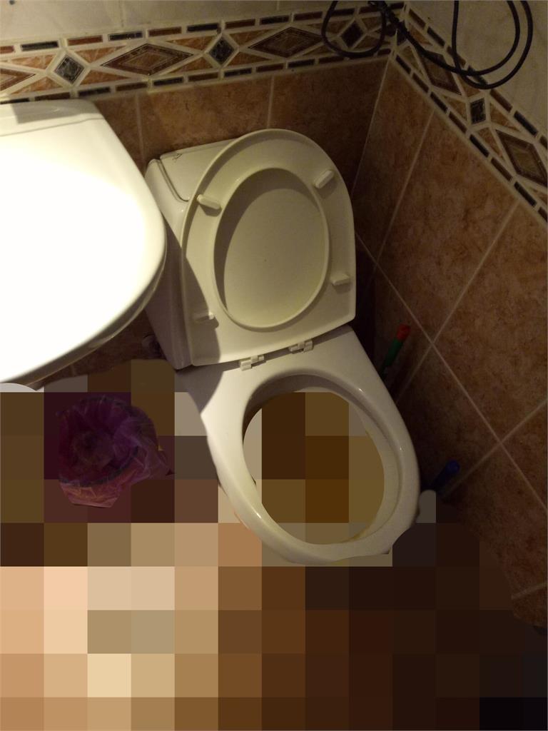 請水電師傅「修壞馬桶」還付6000元！房東見「滿屋排泄物」安穩入睡了…