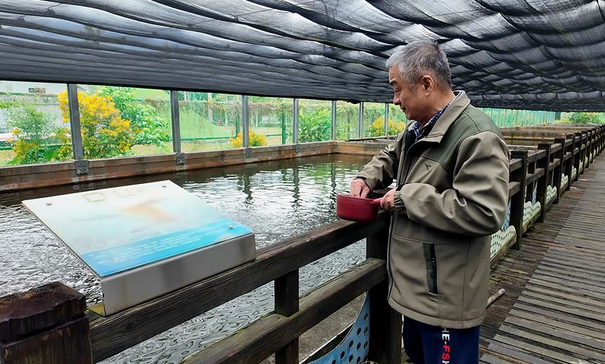 只要2~15元銅板價! 花蓮水培所開放登記購買魚苗