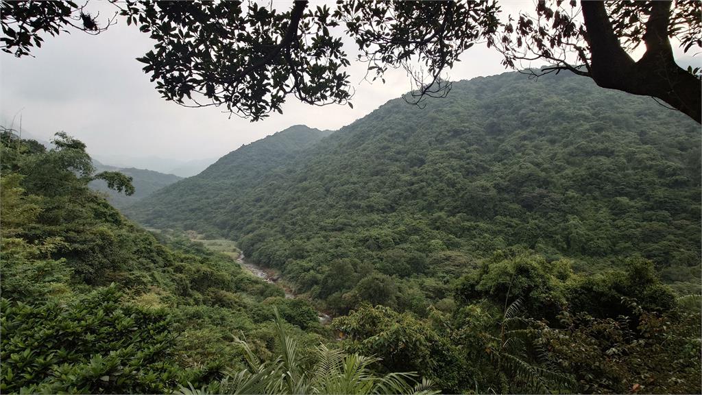 怎麼住的? 年輕遊客入住溫泉旅館「地板裂開」像戰場