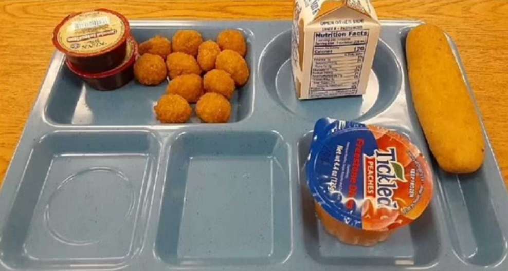 哪來的營養？紐約4寶爸怒曝「寒酸午餐照」網愣：監獄伙食都比這好！