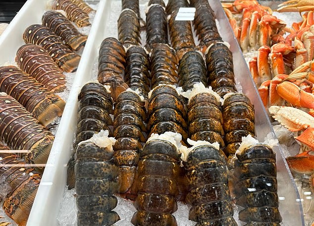 美龍蝦運送到一半「神秘失蹤」？FBI介入調查驚曝價值達「一千多萬」