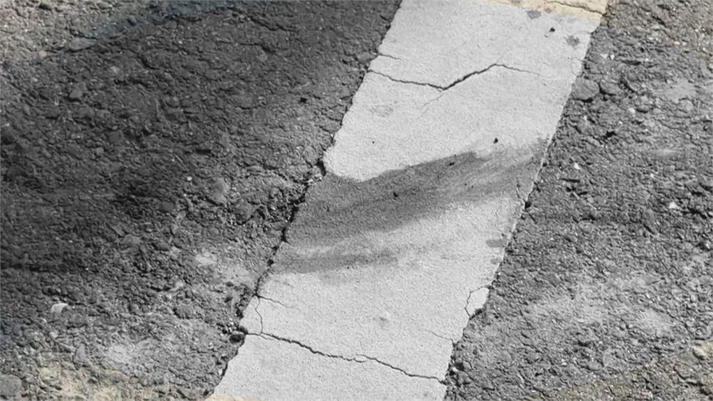 雲林黑狗遭貨車"活活拖行亡" 飼主最重關2年罰2百萬