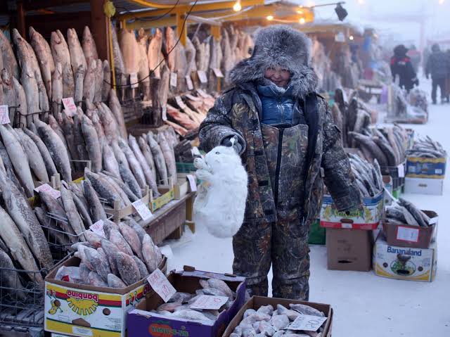 「世界最冷城市」零下50度如天然冰箱！魚販攤位「鮮魚冰柱」畫面曝