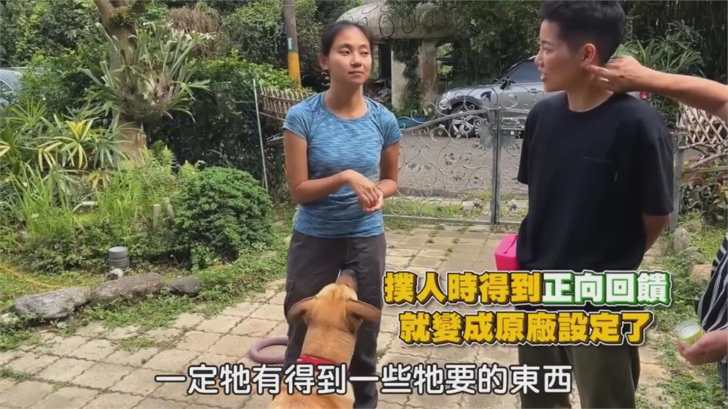 玩嗨了？愛犬見訪客興奮狂咬　行為專家「揭1關鍵」主人驚：誤會牠了